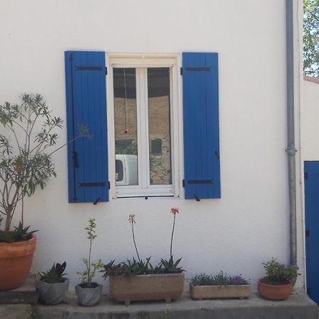 Maison Occitane Saint-Nazaire-d'Aude Exteriör bild
